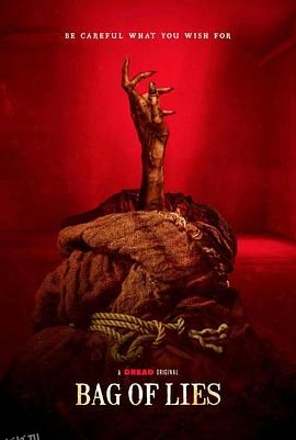 魔袋谎言 海报