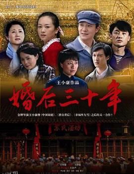 婚后三十年 海报