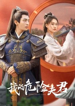 我的危险夫君 高清海报