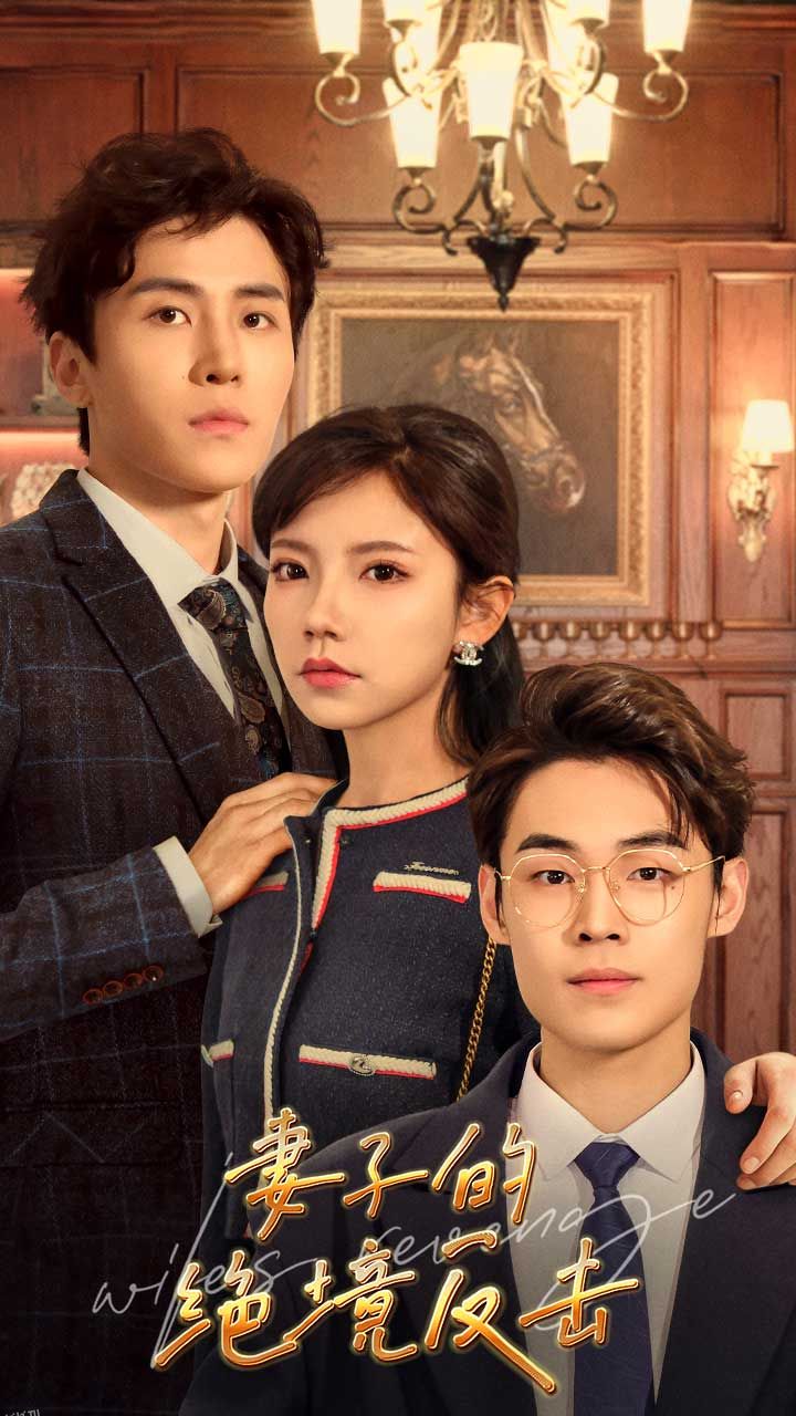 妻子的绝境反击 海报