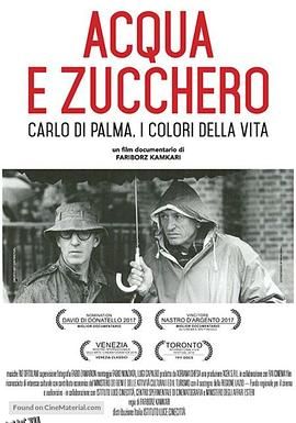 水与糖：摄影家卡洛·迪·帕尔马的生活与色彩 海报