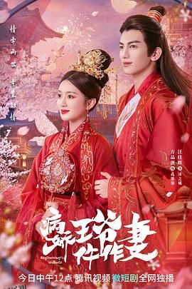 病娇王爷仵作妻 海报