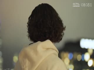 NBA常规赛 猛龙VS公牛 20250402 海报