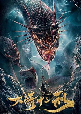 大清十二刑 海报