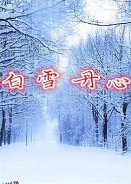 白雪丹心 海报