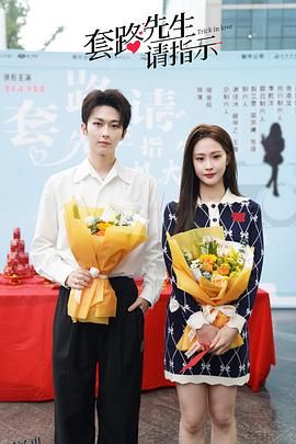 套路先生请指示 海报