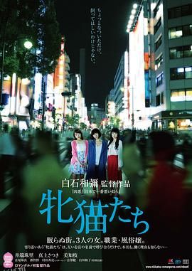 雌猫们 海报