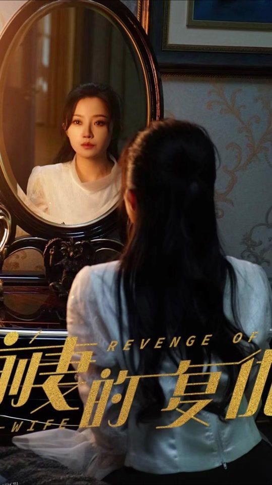 前妻的复仇 海报