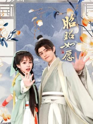 昭昭如愿 高清海报