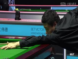 斯诺克 刘宏宇5-2丁俊晖 20231006 海报