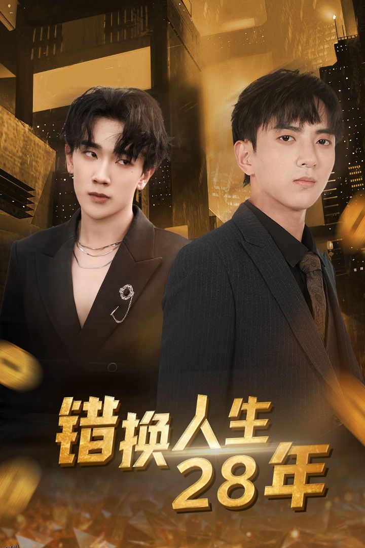 错换人生28年 海报
