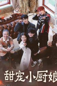 甜宠小厨娘 海报