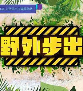 野外步出 海报