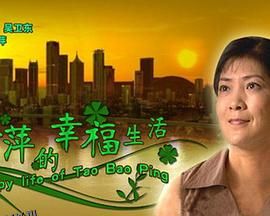 陶宝萍的幸福生活 海报