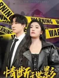 我的特工老婆 海报