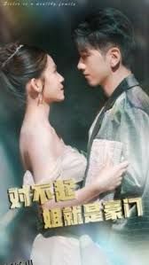 对不起姐就是豪门 海报