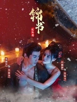 锦书谋权录 海报