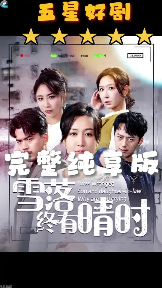 雪落终有晴时 高清海报