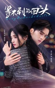 等不到的回头 海报