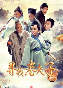 寻找老夫子 海报