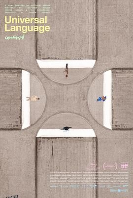 共同的语言 海报