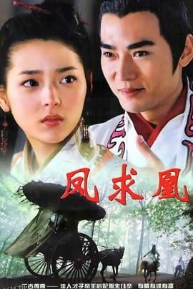 凤求凰2005 海报