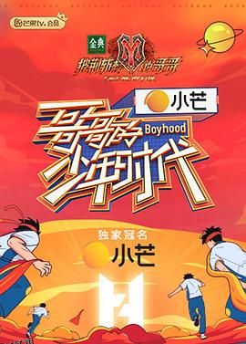 哥哥的少年时代 海报