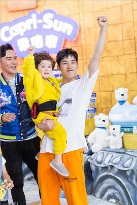 疯狂的麦咭第四季 海报