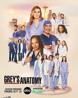 实习医生格蕾第二十一季 海报