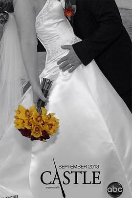 灵书妙探第六季 海报