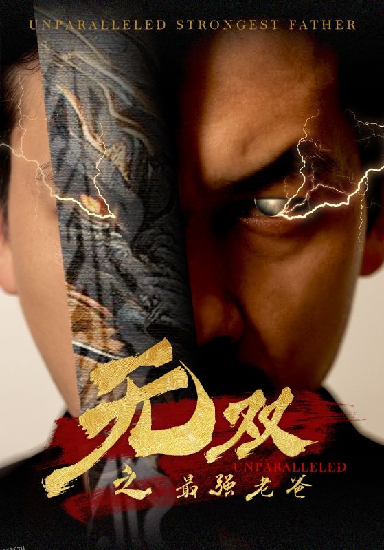 无双之最强老爸 海报