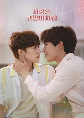 爱情像猫一样 海报