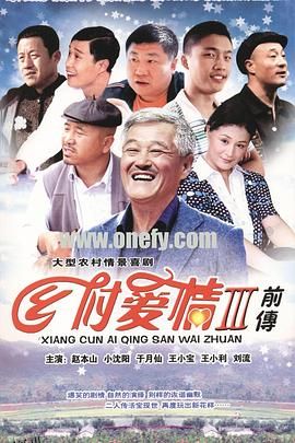 乡村爱情3 海报