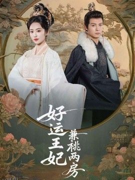 好运王妃兼祧两房 海报