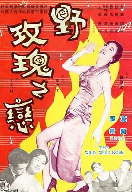 野玫瑰之恋 海报