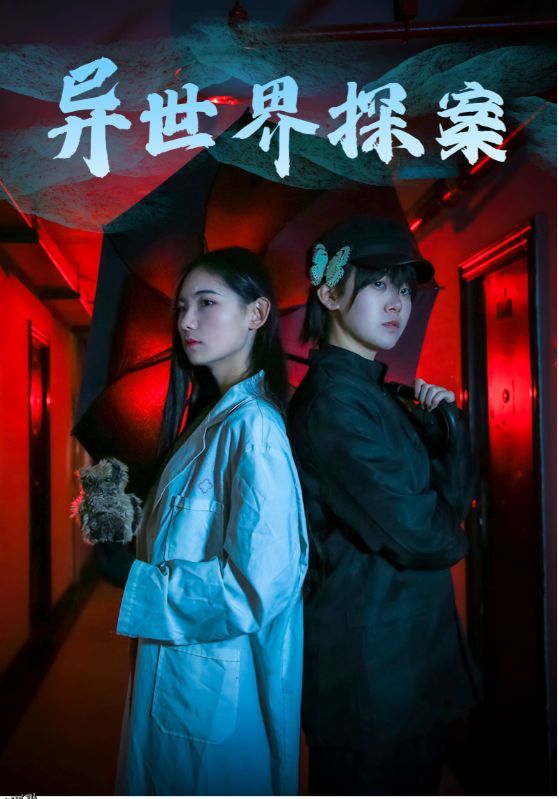 异世界探案 海报