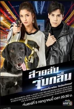 侦探K9普国语 海报