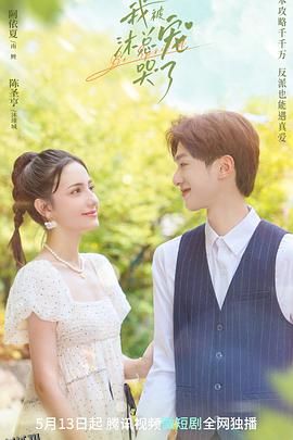 我被沐总宠哭了 海报