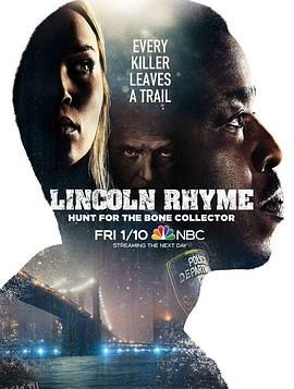 神探林肯：人骨拼图 海报