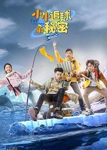 小小追球的秘密 海报