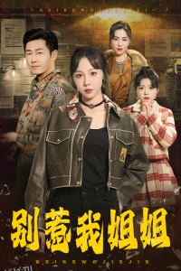 别惹我姐姐 海报