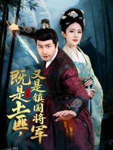 既是土匪，又是镇国将军 海报