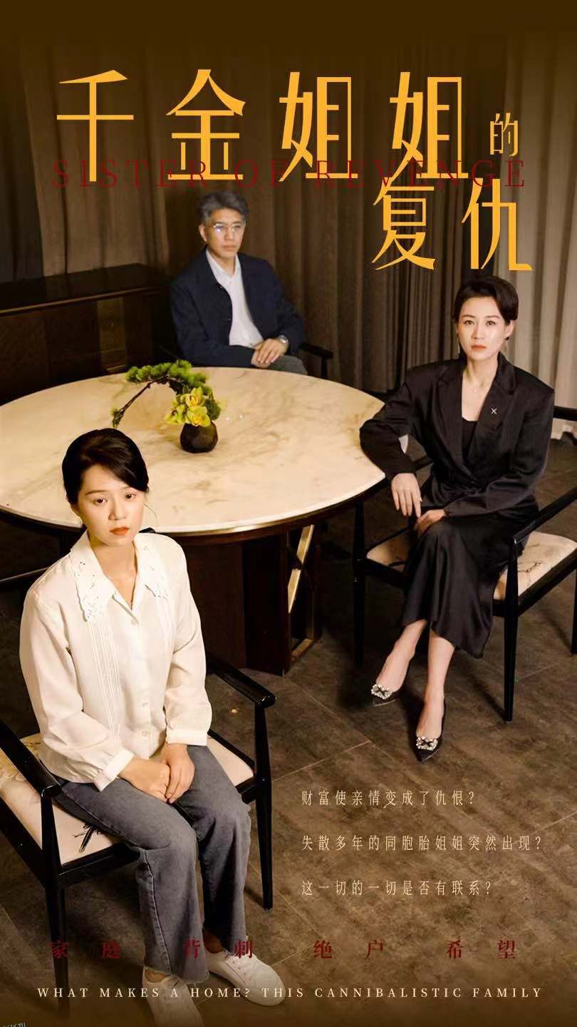 千金姐姐的复仇 海报