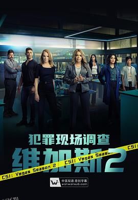 犯罪现场调查：维加斯第二季 海报
