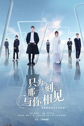 只为那一刻与你相见 海报