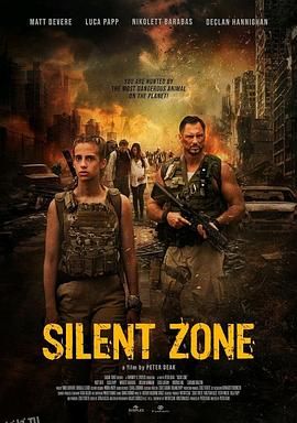 静默地带 海报