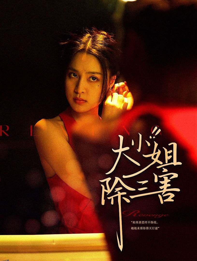 大小姐除三害 海报