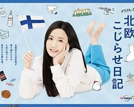 北欧别扭日记 海报