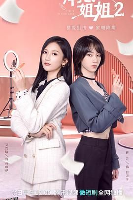 拜托了！姐姐2 海报