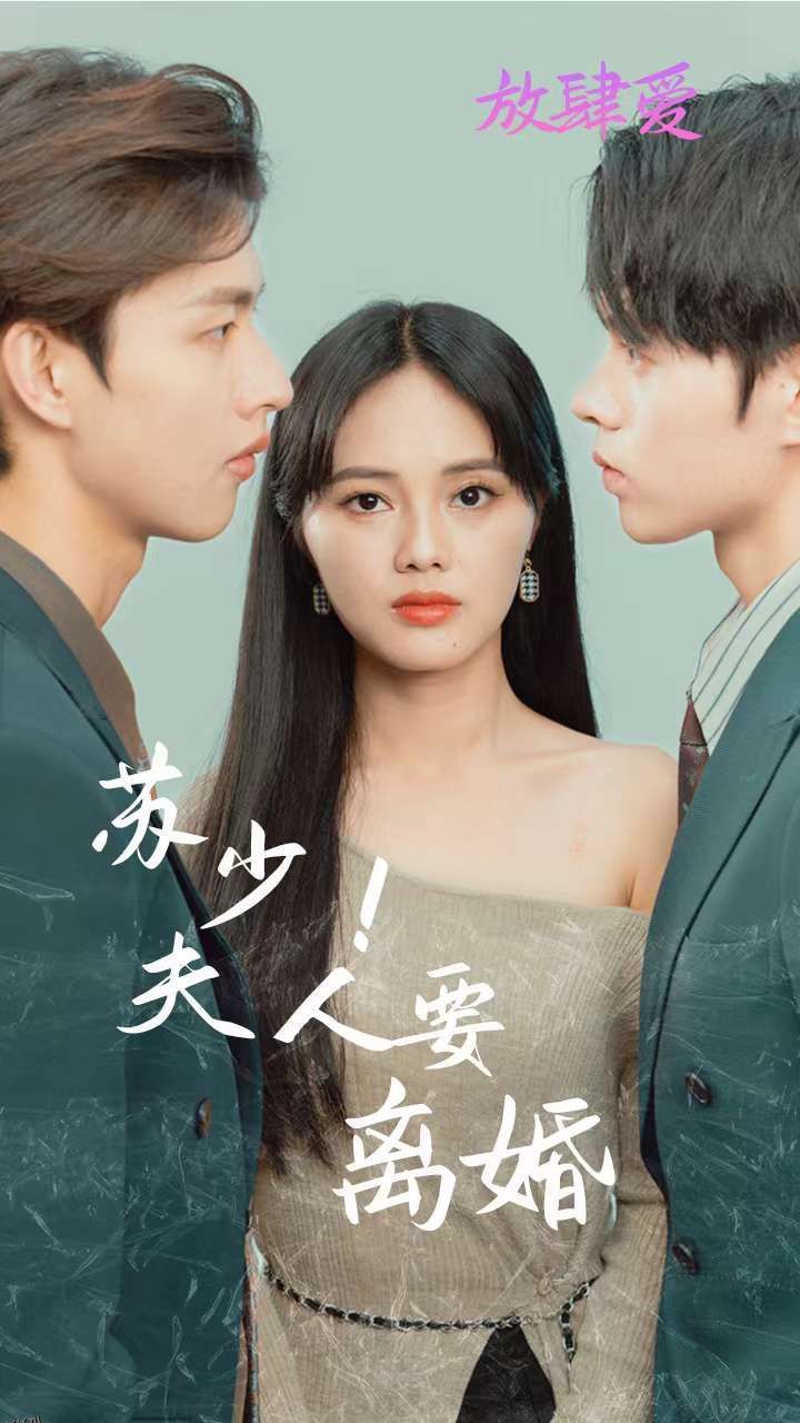 苏少！夫人要离婚 海报